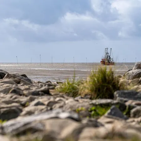Ostertill 15 Hébergement de vacances Dorumer Neufeld